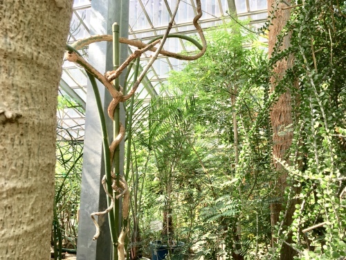 d0179410_12561668.jpeg