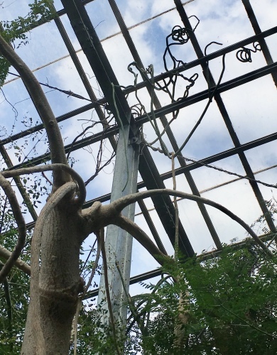 d0179410_12584279.jpeg