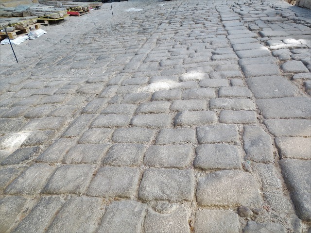 b0064411_07164623.jpg