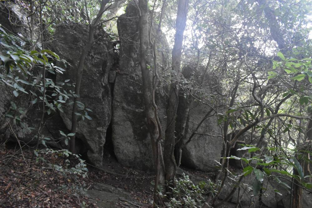f0212511_20461791.jpg