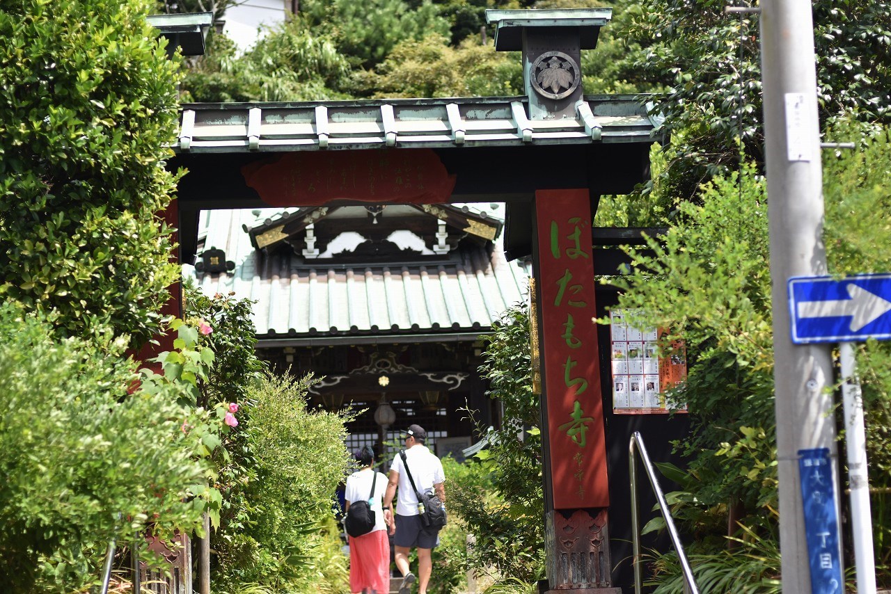 夏草しげるぼたもち寺　常栄寺_d0065116_21141935.jpg