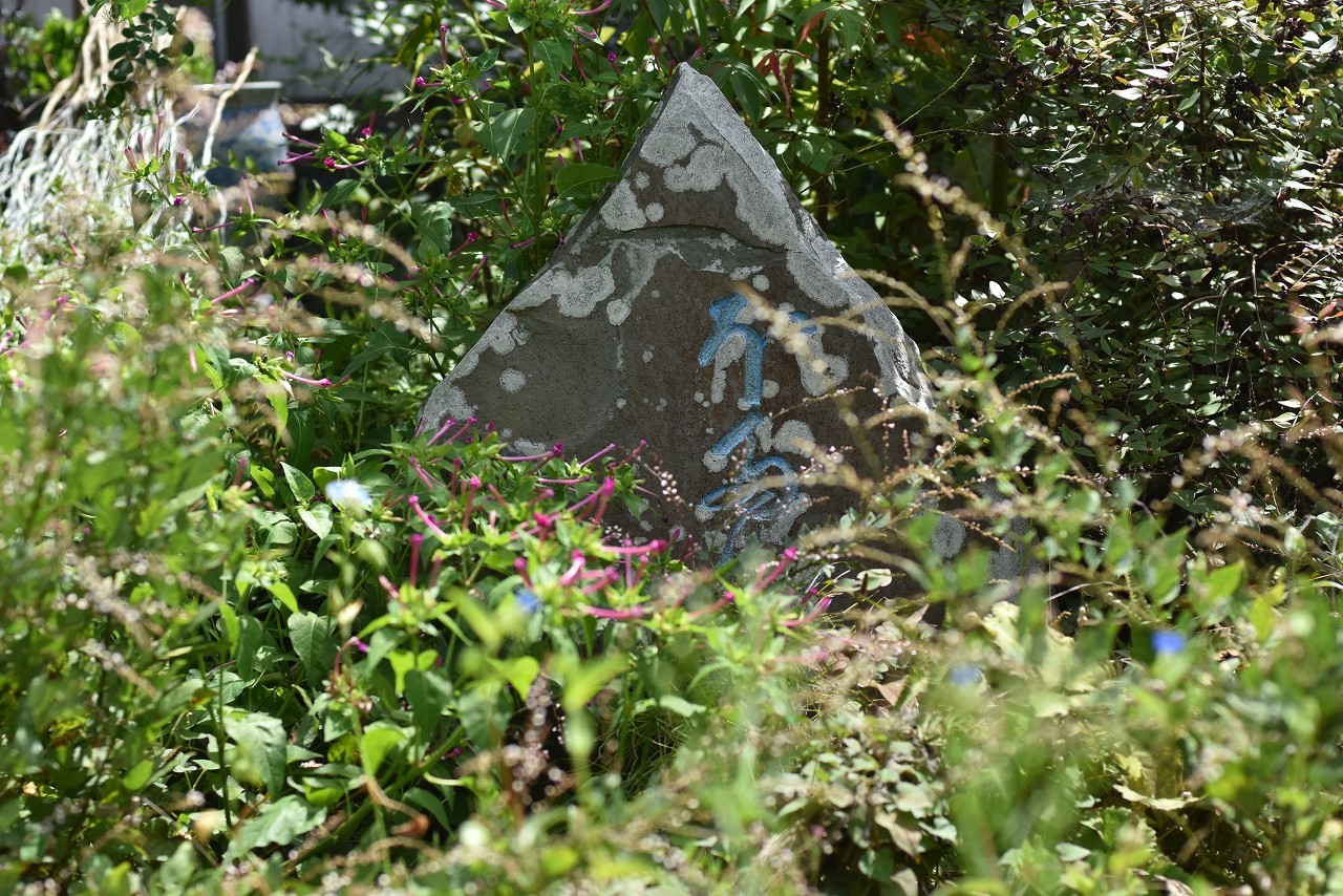 d0065116_21181482.jpg