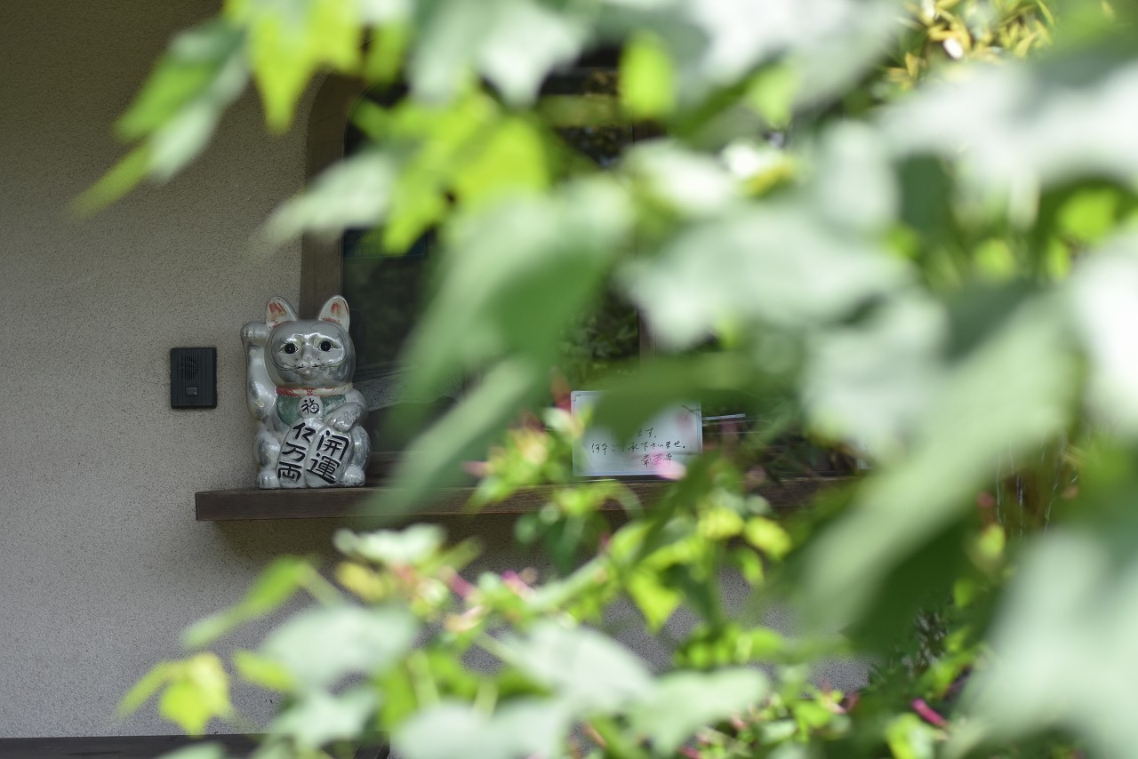 夏草しげるぼたもち寺　常栄寺_d0065116_21191431.jpg