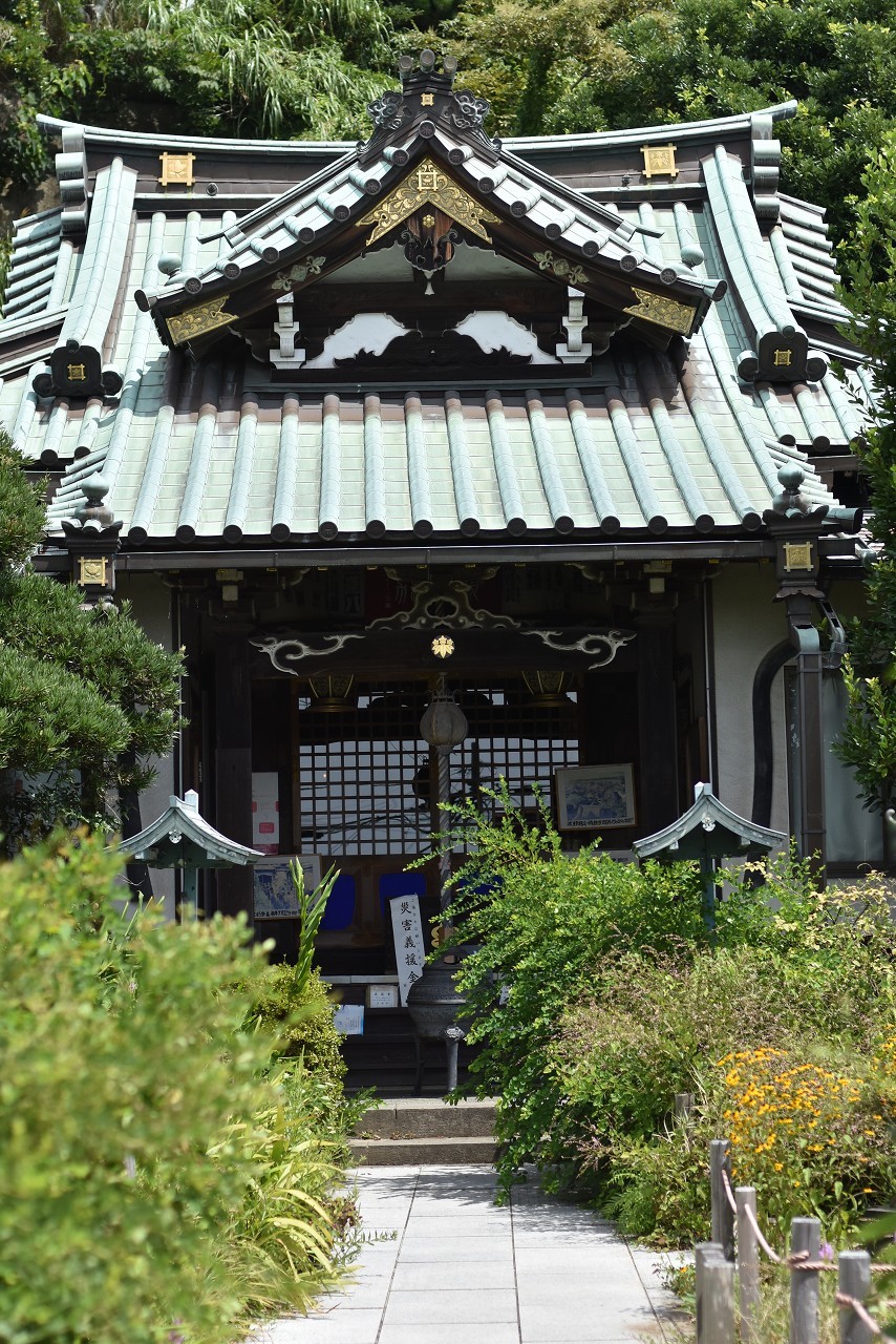 夏草しげるぼたもち寺　常栄寺_d0065116_21195228.jpg