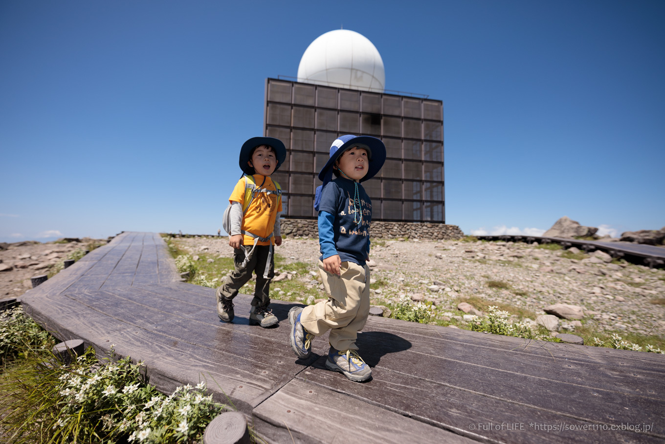 c0369219_19132477.jpg