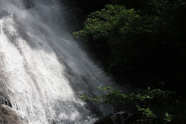 e0321325_16154613.jpg