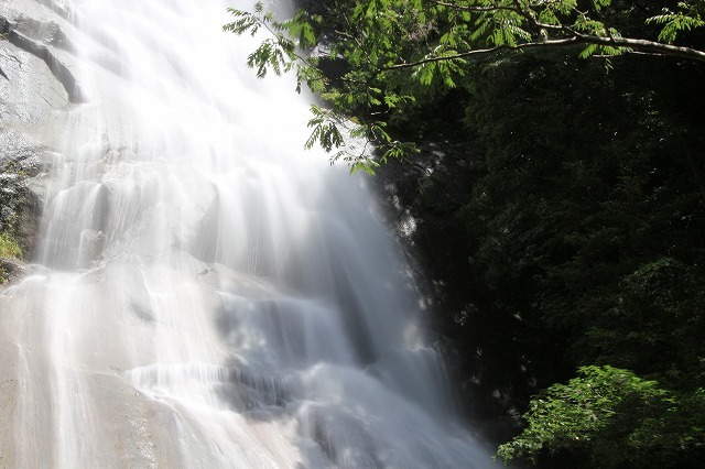 e0321325_16170691.jpg