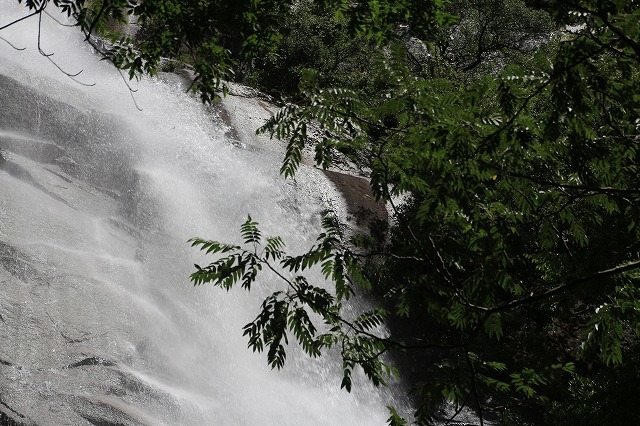 e0321325_16172562.jpg