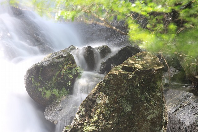 雨上りの清滝風景（撮影：8月25日）_e0321325_16181882.jpg