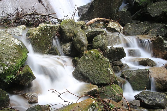 e0321325_16201309.jpg