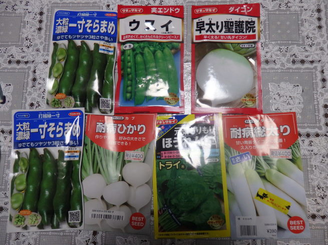a0054240_21335438.jpg