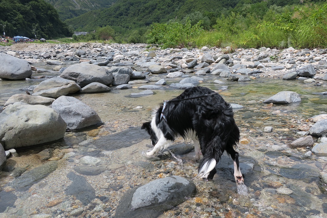 c0147241_21275777.jpg