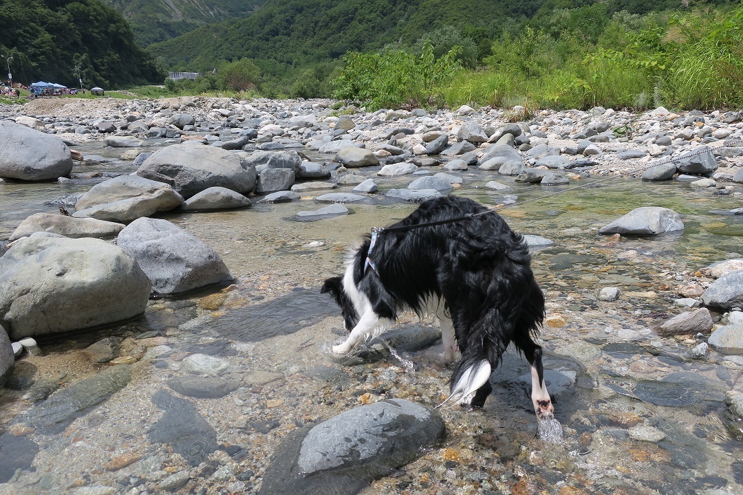 Hakuba47に行ってきた Part2♪_c0147241_21275777.jpg