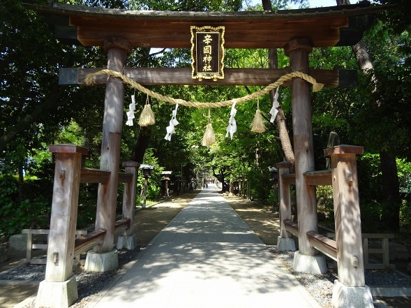 辛国神社_b0299042_08184227.jpg