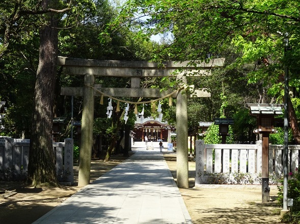b0299042_08191169.jpg
