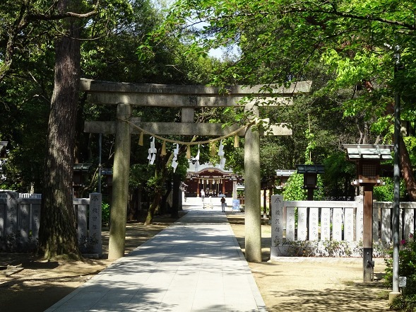 辛国神社_b0299042_08191169.jpg