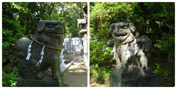 辛国神社_b0299042_08191617.jpg