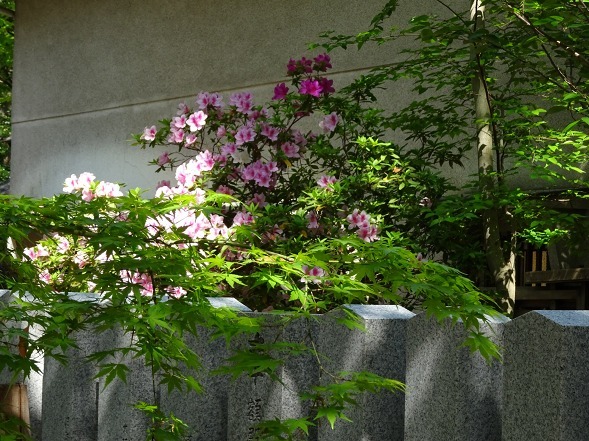 辛国神社_b0299042_08192729.jpg