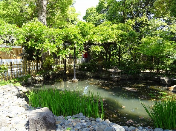 辛国神社_b0299042_08200170.jpg