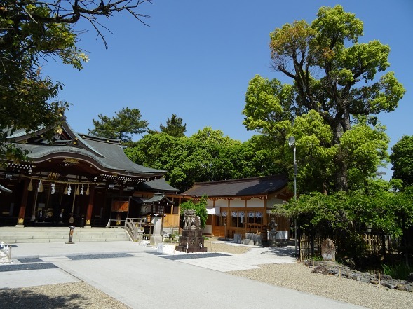 辛国神社_b0299042_08204681.jpg