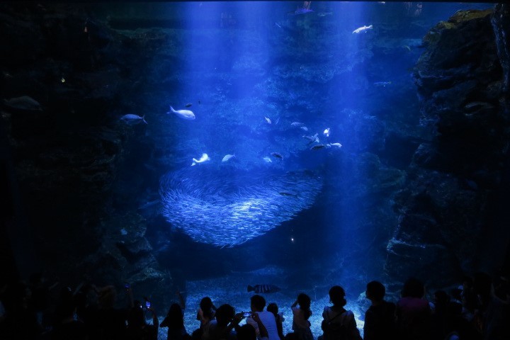 e0300042_07581385.jpg