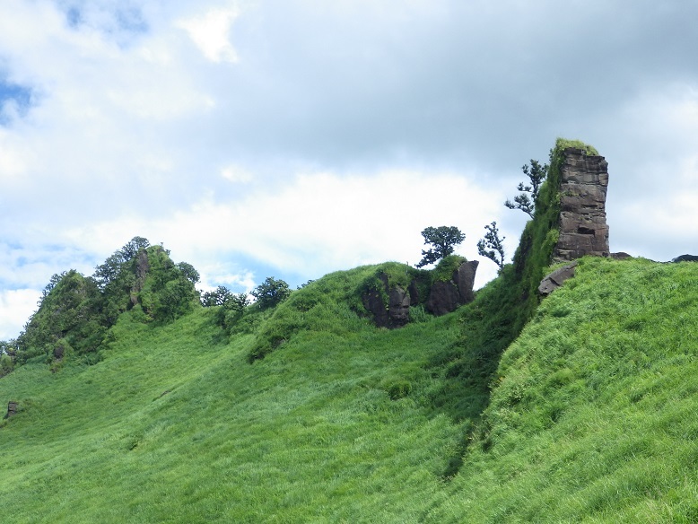 阿蘇野草園・らくだ山_e0164643_14582745.jpg