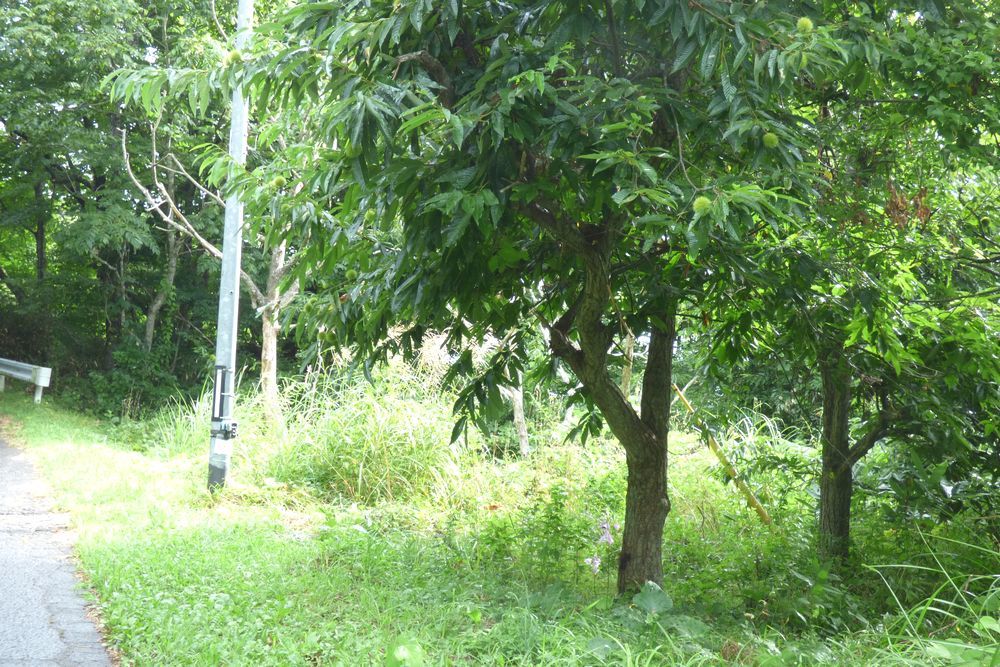 c0294658_20255720.jpg