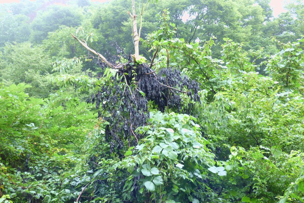 c0294658_20270309.jpg