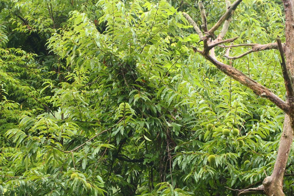 c0294658_20270457.jpg