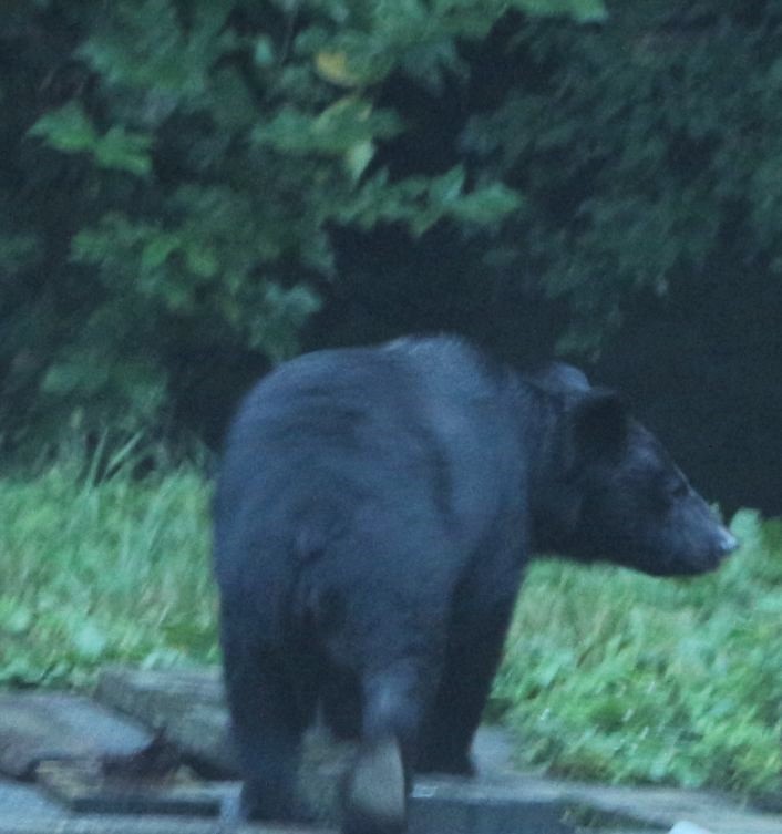 c0294658_21220410.jpg