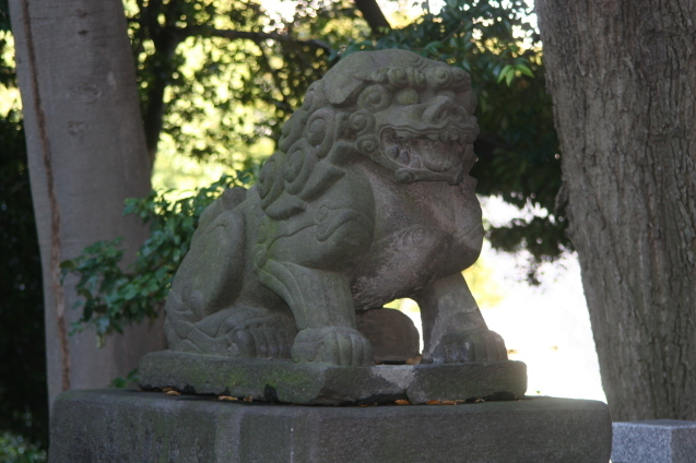 b0074359_22235576.jpg