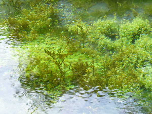 c0222861_20224597.jpg