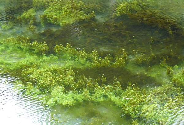 c0222861_2023215.jpg