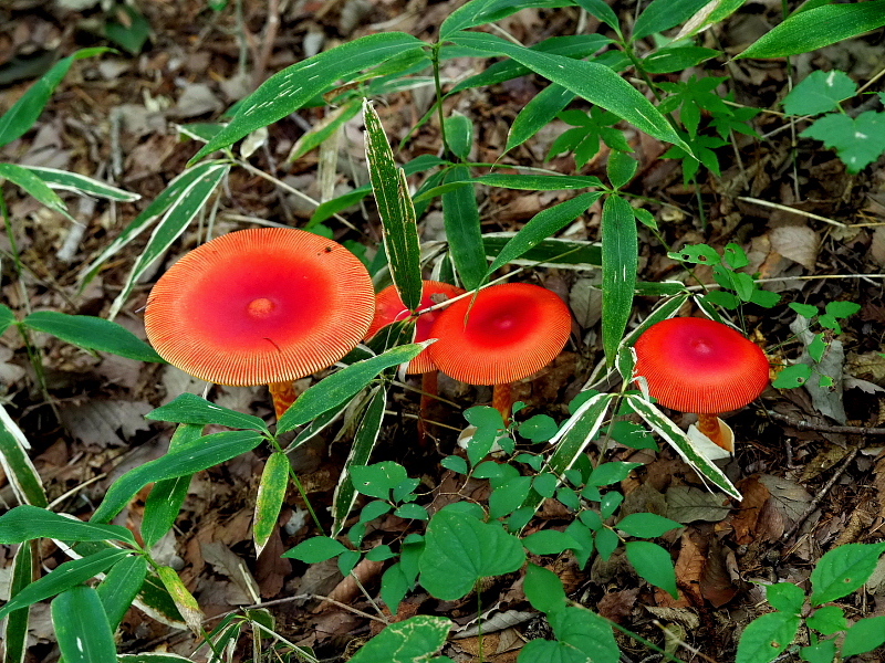 c0305565_17452460.jpg