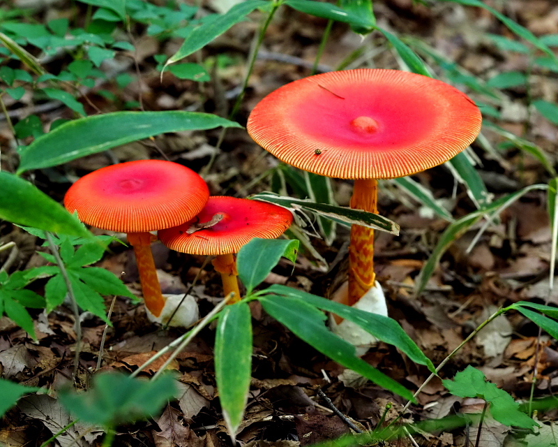 c0305565_17454623.jpg