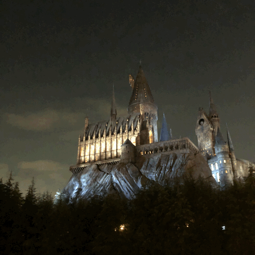 b0325867_08394931.gif