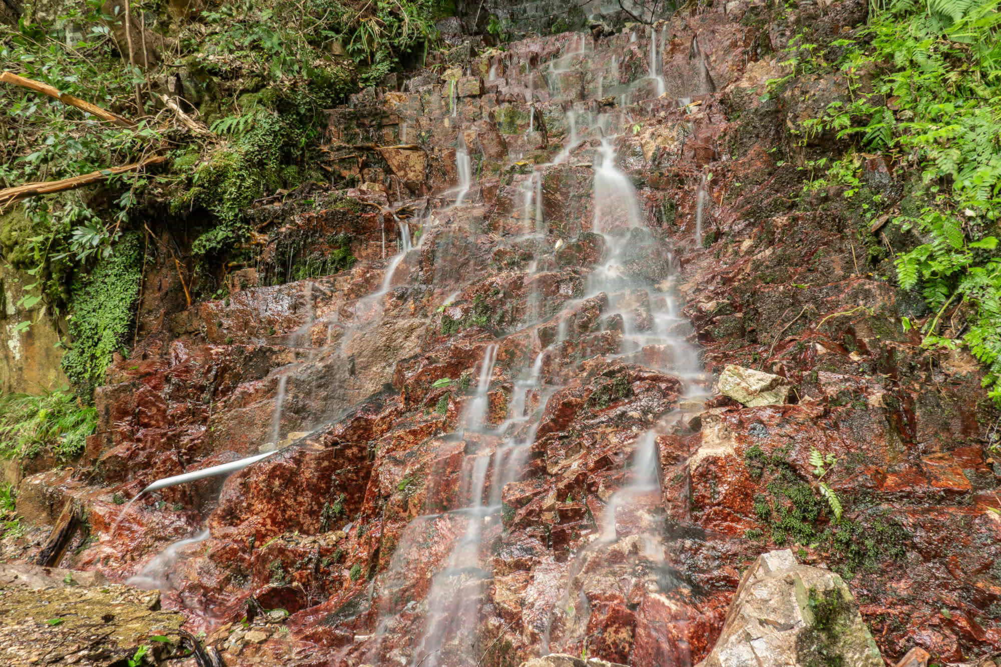e0015567_09281468.jpg