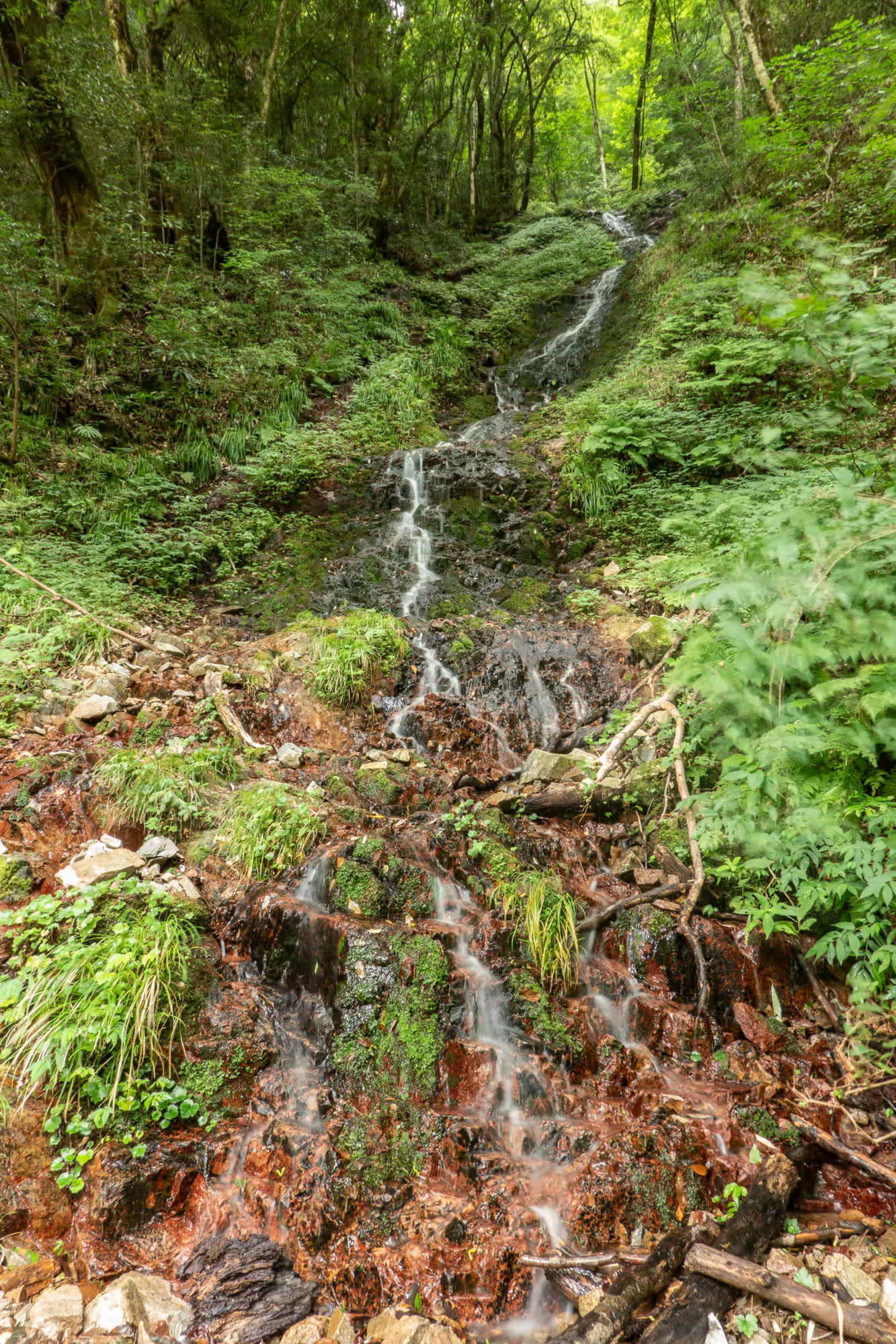 e0015567_09284506.jpg