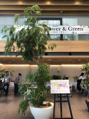Tokyo Flower & Green ～花と緑のおもてなし～　終了いたしました_a0252678_08562791.jpeg