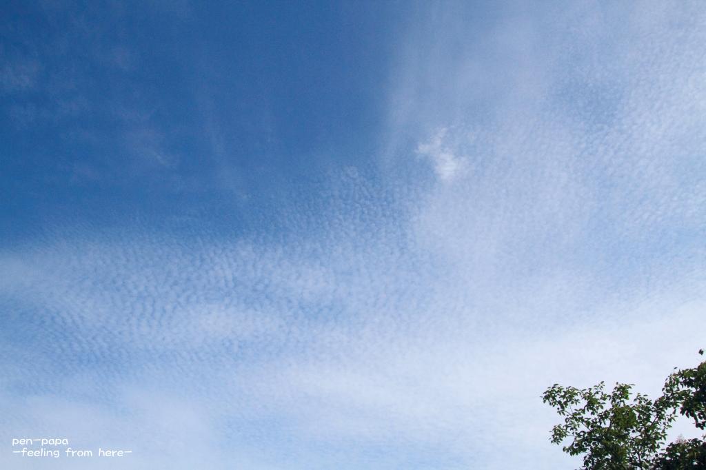 c0356480_20513672.jpg