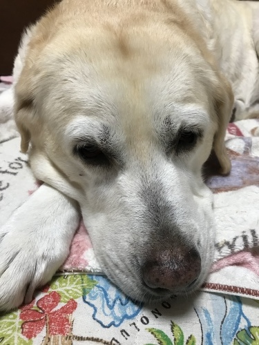 f0315081_23250966.jpeg