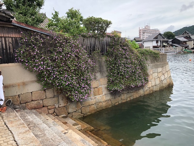 f0333882_17235779.jpg