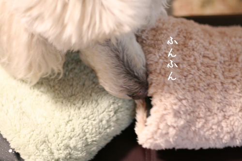 a0216583_22030261.png