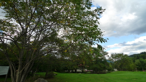 c0212083_17195082.jpg