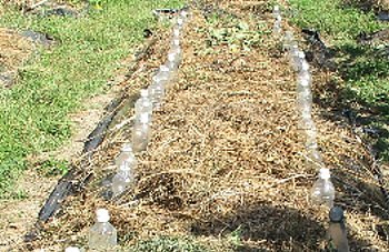 f0003283_07470370.jpg