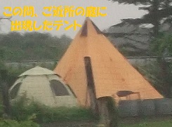 d0017084_9434593.jpg