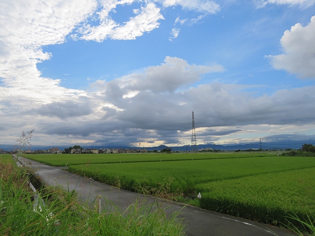 f0357487_2272285.jpg