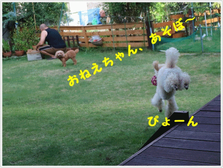 b0175688_19524668.gif