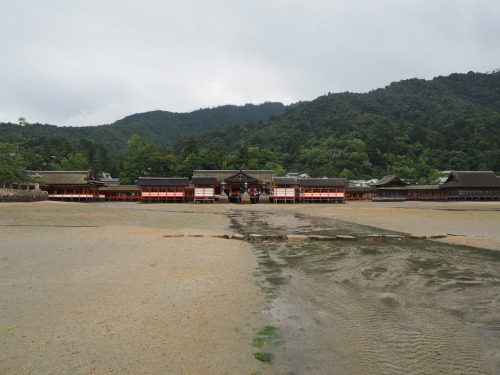 e0015490_08495693.jpg