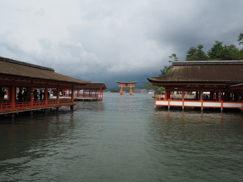 e0015490_09000216.jpg